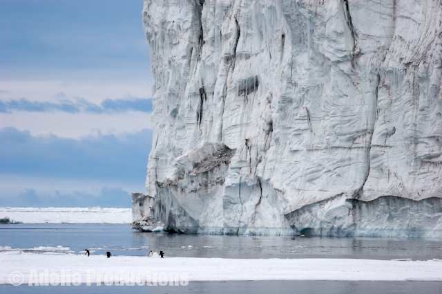 <b>Ice Cliffs, Ross Island, Antarctica</b><br/>&ldquo;There is a place in the Antarctic where only I have been. Not Scott. Not Shackleton. Not Mawson. Just me.&rdquo;