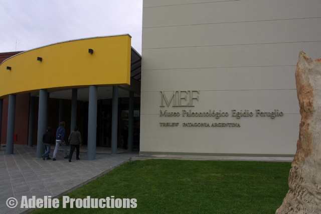 <b>Museo Paleontológico Egidio Feruglio, Trelew</b><br/>&ldquo;Here evolution really was set before your eyes...I had come to the right place.&rdquo;
