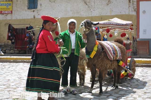<b>Ollantaytambo, Sacred Valley, Peru</b><br/>&ldquo;We drove by a colourful couple with a couple of llamas, one white the other brown, pulling an even more colourful and elaborately attired carriage.&rdquo;