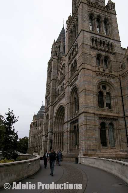 <b>Natural History Museum, London, England</b><br/>&ldquo;...opened in 1881 as Owen&rsquo;s vision of a &ldquo;cathedral to nature.&rdquo;