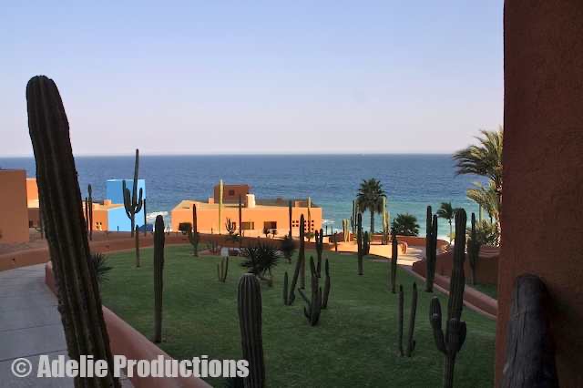 <b>Cactii lawn, Westin Spa & Resort</b><br/>&ldquo;But if you thought about that for even a minute, none of it made any sense.&rdquo;